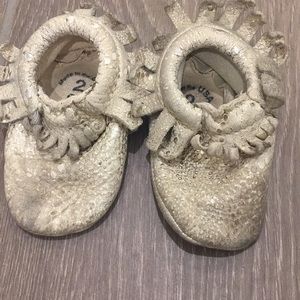 Freshly picked Mocs gold